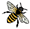 /ARSUserFiles/34905/Brunet Lab Photos/bee.png